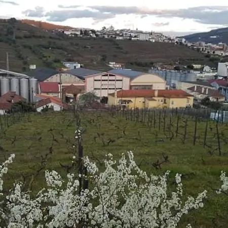 Appartement Casa Moscatel - Douro Valley Peso da Régua