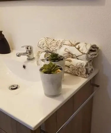 公寓 Casa Moscatel - Douro Valley 比索达雷加