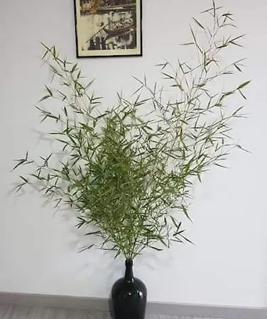 דירה Casa Moscatel - Douro Valley *