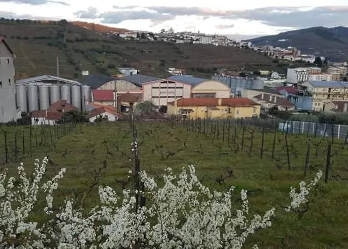 Appartamento Casa Moscatel - Douro Valley Peso da Régua