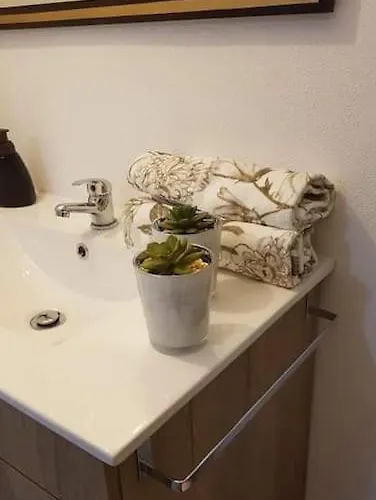 아파트 Casa Moscatel - Douro Valley 페소다레과