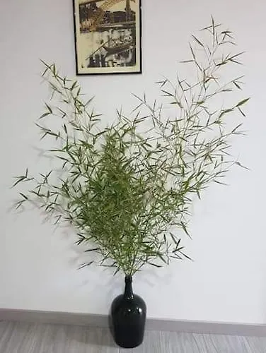 Appartamento Casa Moscatel - Douro Valley *